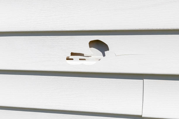 Best Wood Siding Installation  in Boonton, NJ