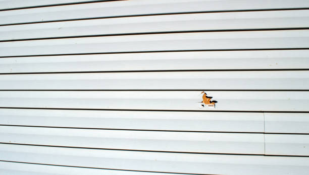 Best Steel Siding Installation  in Boonton, NJ