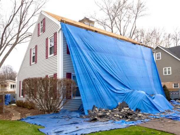 Best Siding Painting and Refinishing  in Boonton, NJ